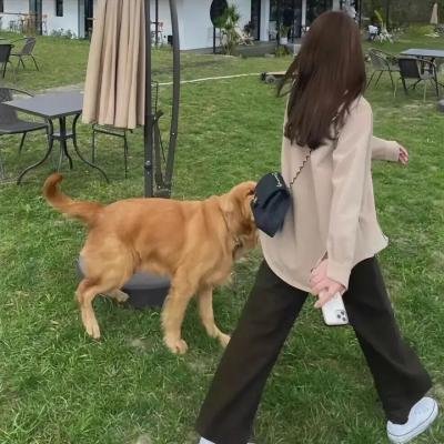 小旅人